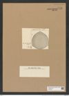 Triceratium subrotundatum A. Schm. (de-Toni-Nr.: Genus 140, Species 3729) Zeichnungen Sammlung Grunow Nr. 7236 (NHMW-BOT-W0376231)